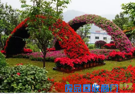 茶博城里开“两会” 花会、庙会迎新春