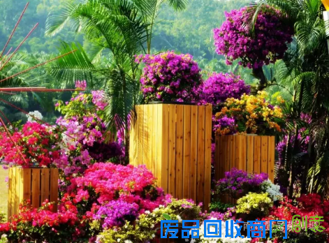 茶博城里开“两会” 花会、庙会迎新春