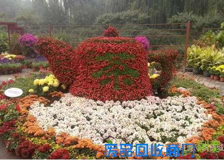 茶博城里开“两会” 花会、庙会迎新春