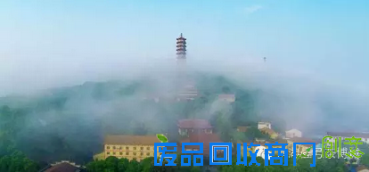 茶博城里开“两会” 花会、庙会迎新春