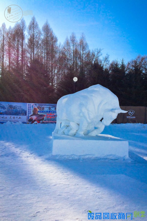 长春的冰雪奇缘，赏雪雕逗企鹅尽享新年【年味】