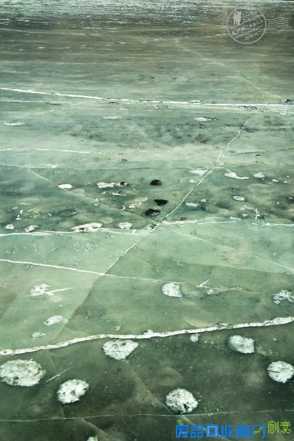 长春的冰雪奇缘，赏雪雕逗企鹅尽享新年【年味】