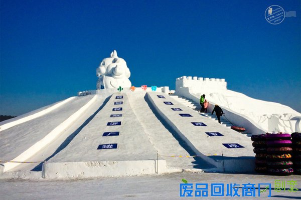 长春的冰雪奇缘,赏雪雕逗企鹅尽享新年【年味】