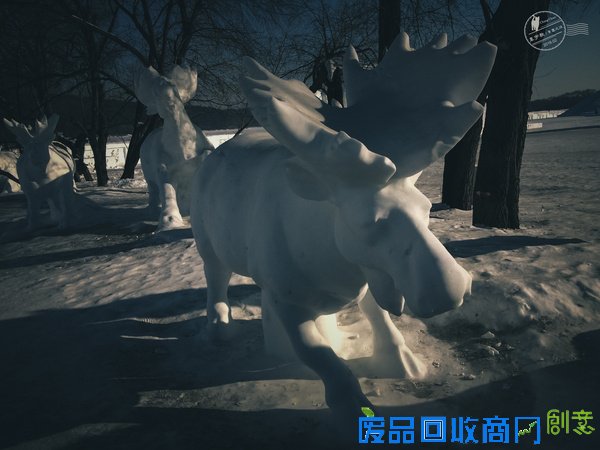 长春的冰雪奇缘，赏雪雕逗企鹅尽享新年【年味】