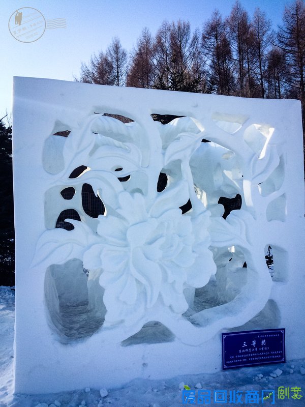 长春的冰雪奇缘,赏雪雕逗企鹅尽享新年【年味】