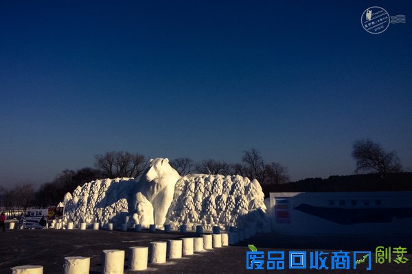 长春的冰雪奇缘,赏雪雕逗企鹅尽享新年【年味】