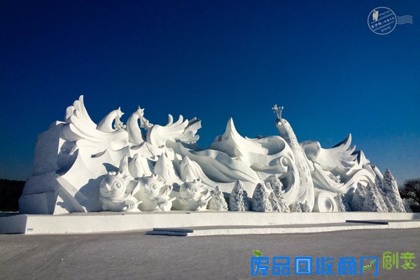长春的冰雪奇缘,赏雪雕逗企鹅尽享新年【年味】