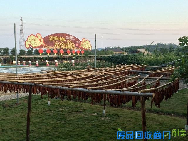 旅游文化节来了,去佛山逛逛!