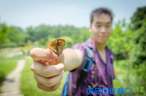 南京医科大学有位热心环保的“蝴蝶王”：寻蝶、养蝶、护蝶、摄蝶样样精