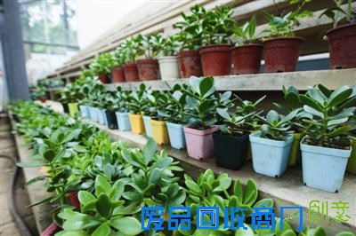 文/记者 沈国娣 图/詹逾