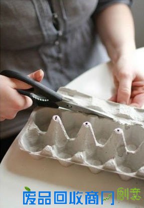 绿色装点家居 鸡蛋托和鸡蛋壳的妙用╭★肉丁园艺网