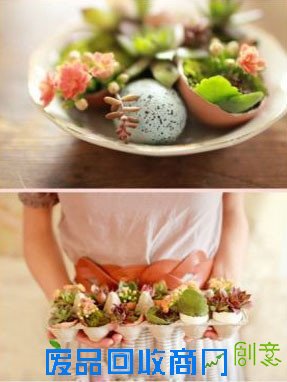 绿色装点家居 鸡蛋托和鸡蛋壳的妙用╭★肉丁园艺网