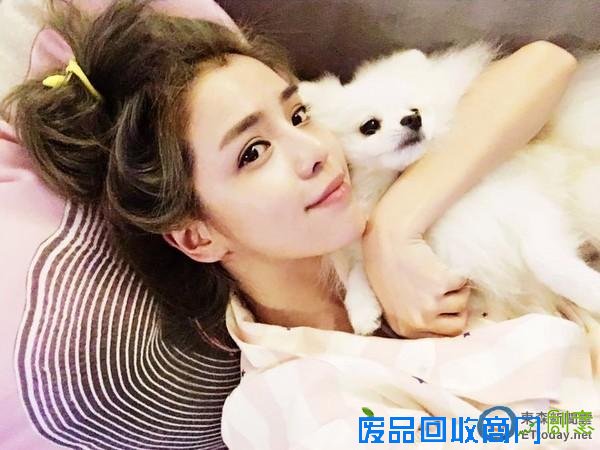 李毓芬放任爱犬电线杆尿尿 被民众投诉恐挨罚