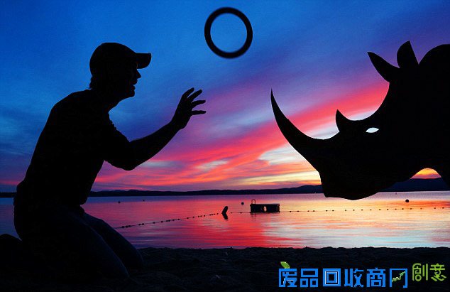 美艺术家自拍与动物剪纸绝美剪影