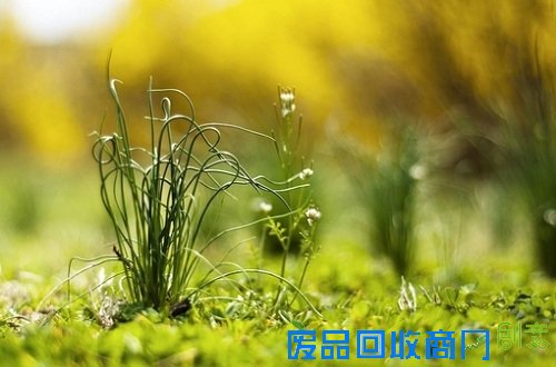 盘点：2013年那些美丽的文字专题回顾