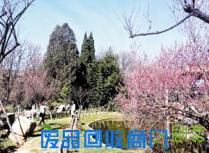 昆明7大公园盛宴贺猴年