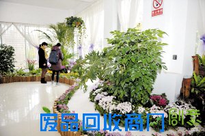 昆明7大公园盛宴贺猴年