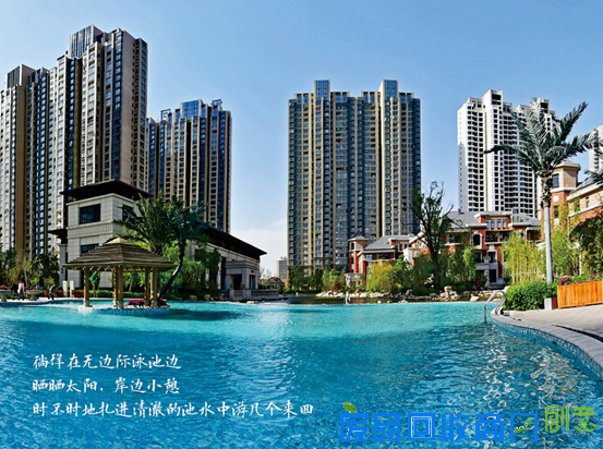 君河湾玫瑰花盆DIY香溢教师节