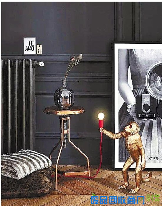 大牌傍猴：这猴样，丑哭了吧