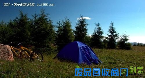 三朵奇葩 空中草原的雪绒花和蔚县剪纸