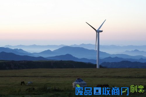 三朵奇葩 空中草原的雪绒花和蔚县剪纸