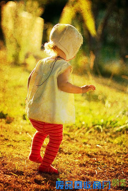 好好工作努力生活，上天不会亏待你的每一分辛苦