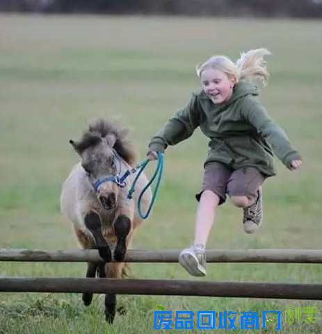 培养爱心增强勇气：马儿是孩子童年最好的陪伴