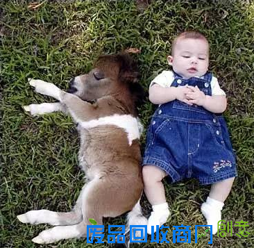 培养爱心增强勇气：马儿是孩子童年最好的陪伴