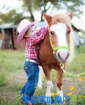 培养爱心增强勇气：马儿是孩子童年最好的陪伴