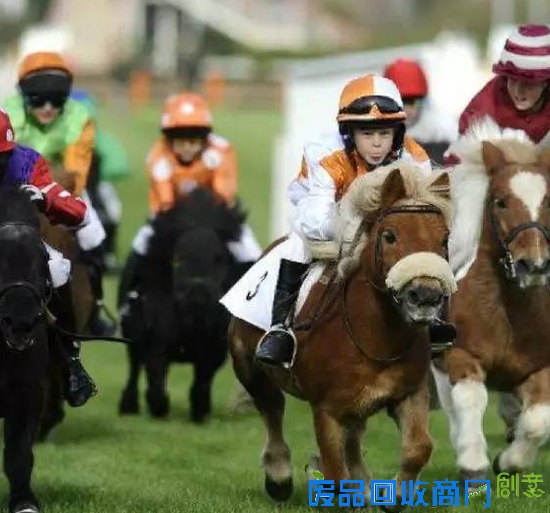 培养爱心增强勇气：马儿是孩子童年最好的陪伴