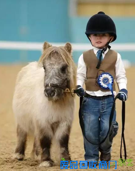 培养爱心增强勇气：马儿是孩子童年最好的陪伴