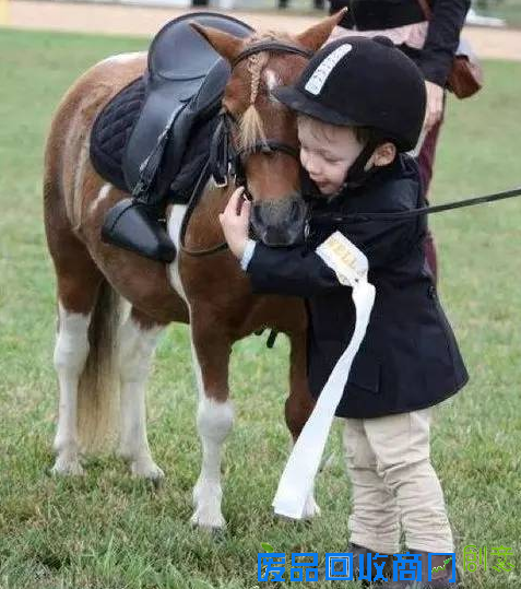 培养爱心增强勇气：马儿是孩子童年最好的陪伴