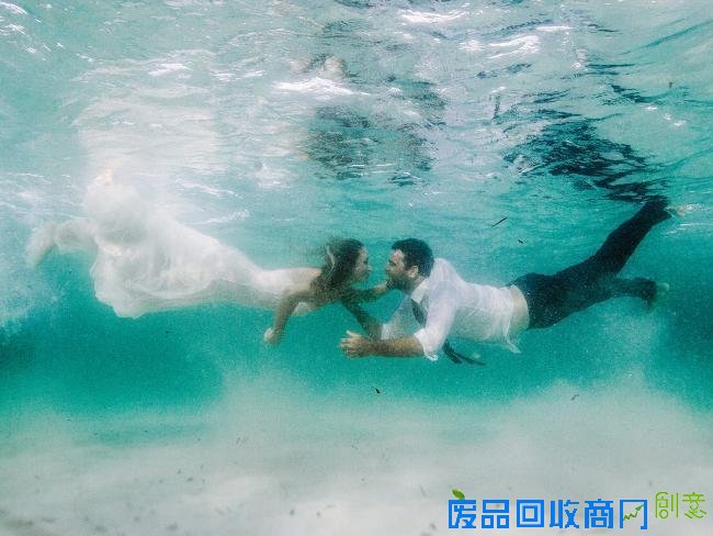 摄影师拍创意婚纱照 大白鲨“入镜”