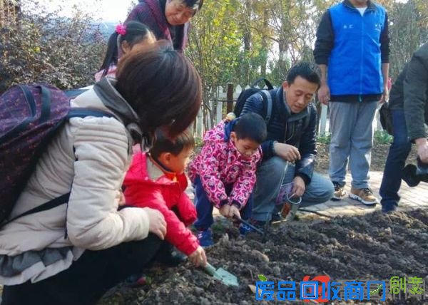 上海植物园邀你来为明年春天上海花展播种郁金香
