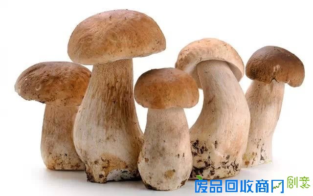 蔬菜=中药哦！一张极其珍贵的表！转给你爱的人！！！