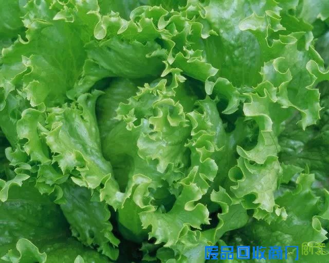 蔬菜=中药哦！一张极其珍贵的表！转给你爱的人！！！