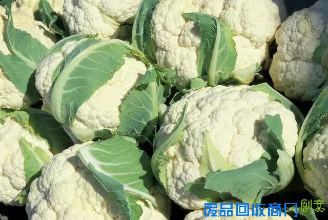 蔬菜=中药哦！一张极其珍贵的表！转给你爱的人！！！