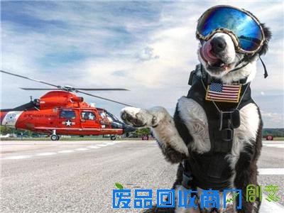 “太子妃”张天爱地下恋曝光 剧情:可念不可说