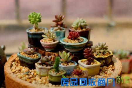 如何让肉肉变得更漂亮