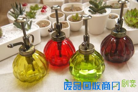 多肉植物养护记