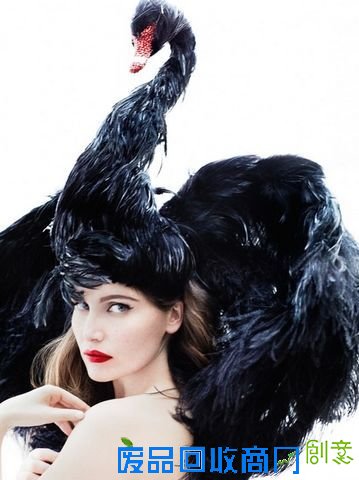 趣味测试：2013年你最该注意哪方面(图)