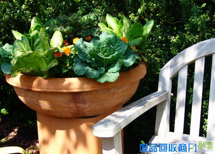 DIY园艺设计 打造惬意情调英式花园