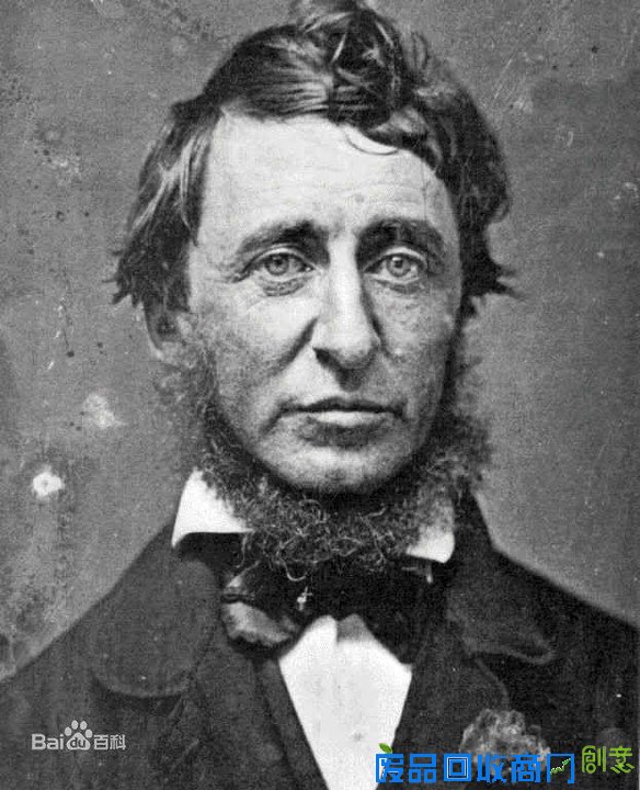 【组图】像梭罗树一样傲世独立