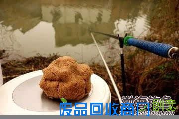 钓鱼饵料小知识之夏季用饵方法