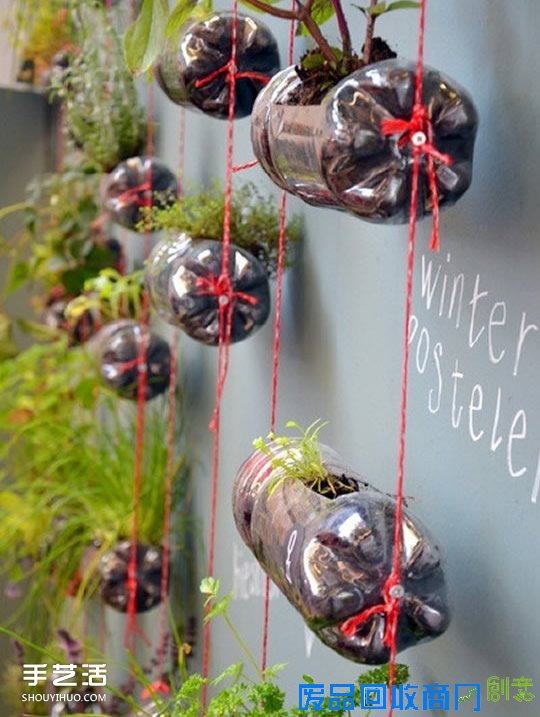 塑料瓶废物利用DIY花盆 让花花草草都长到空中 -  