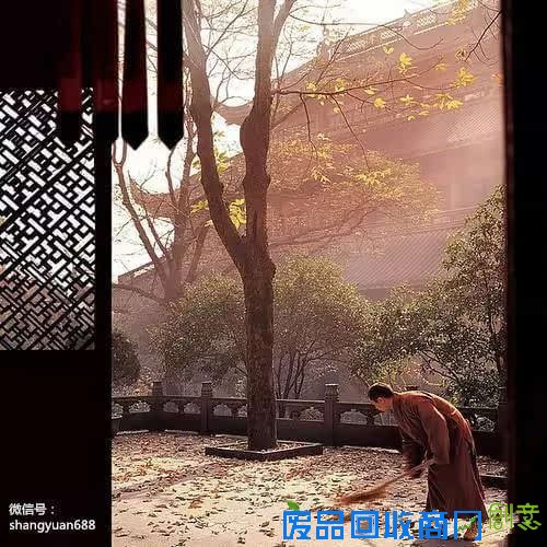 曾获金奖的史上最唯美佛教图片,不敢尖叫,恐惊扰了它的美!