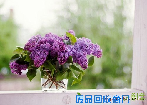 一句话经典语录.htm新消息评论