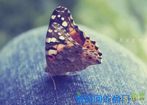 一句话经典语录.htm新消息评论