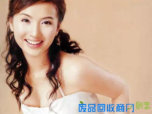 零绯闻照样大红大紫的十大明星 真的很棒