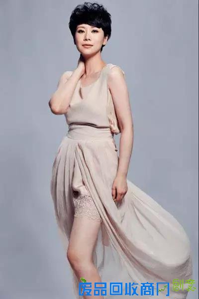 零绯闻照样大红大紫的十大明星 真的很棒